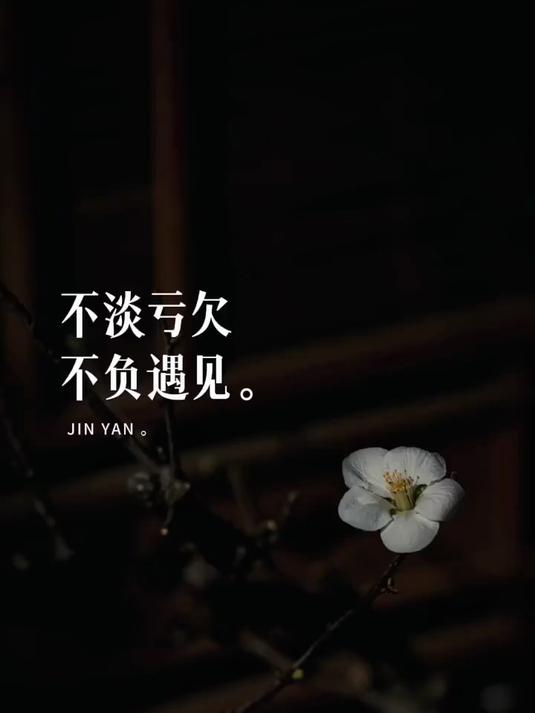 不负遇见的含义